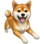 Shiba sticker