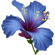 blue hibiscus flower sticker
