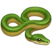Pocket snake sticker