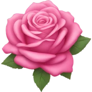 Pink rose bouquet  sticker