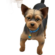 collar worn by pets sticker