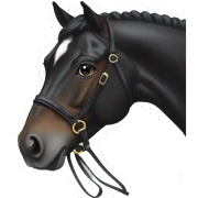 Black sport horse sticker
