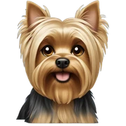 Yorkshire terrier sticker