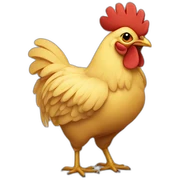 pollo sticker