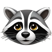 Racoon sticker