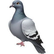 pigeon  sticker