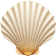 Scallop shell sticker