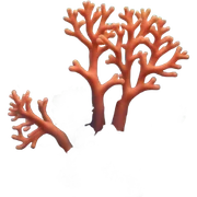 Coral reef sticker