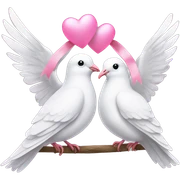 White love birds doves pink bows sticker