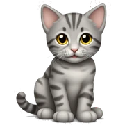 Gray tabby kitten sitting sticker