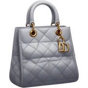 Dior bag sticker