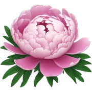 Peony sticker