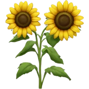 sunflower sticker