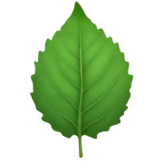 leaf sticker