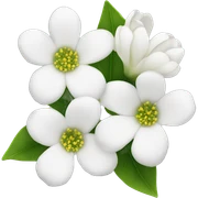 White flowers sticker