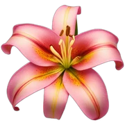 lilly flower sticker