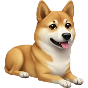 Doge sticker