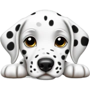 Dalmatian puppy laying sticker