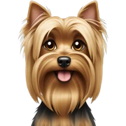 Yorkshire Terrier sticker