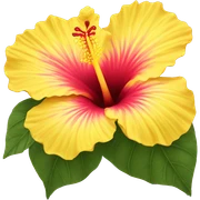 Yellow hibiscus  sticker