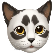 Gato pelo marrón y blanco y negro sticker