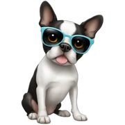 boston terrier with sunglases sticker