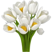 white tulip bouquet  sticker