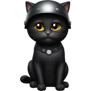 Black cat with helmet sticker