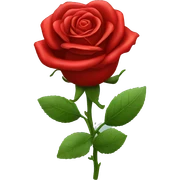 Red roses  sticker