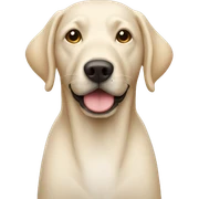 Lab sticker