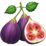 Fig sticker