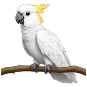cockatoo sticker