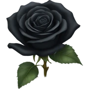 Black rose sticker