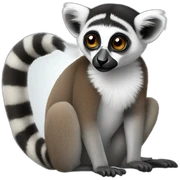 lemur sticker
