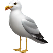 Seagull sticker