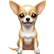 Chihuahua  sticker