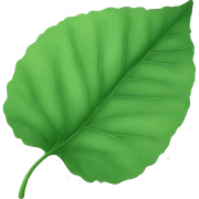 Leaf sticker