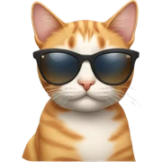 Cat with sunglasses sticker