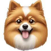 Dog pomerian  sticker