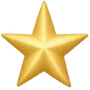 gold sparkle star sticker