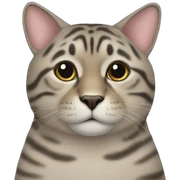 chonk sticker