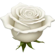 White rose sticker