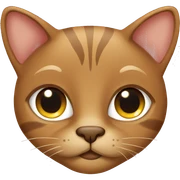 Brown cat with brown eyes sticker