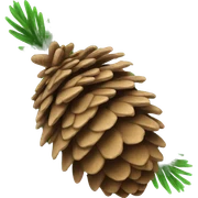 pine cone sticker