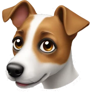 jack russel terrier dog  sticker