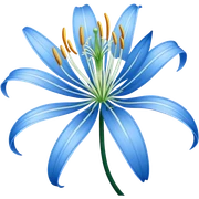 Spider lily blue sticker