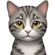 Котик sticker
