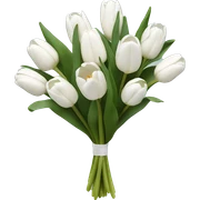 White tulips in a bouquet sticker