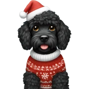Black Miniature doodle with Christmas sweater and hat  sticker