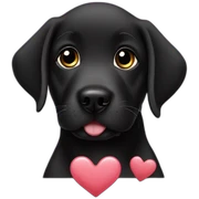  black labrador boy puppy heart sticker